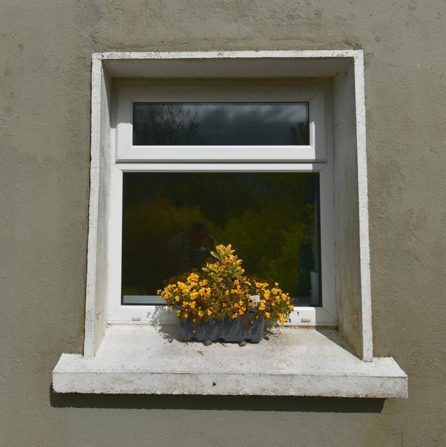 Peaceful Cottage Cork Exterior foto